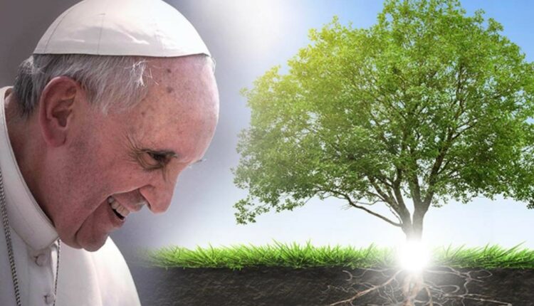 Pope Francis nature