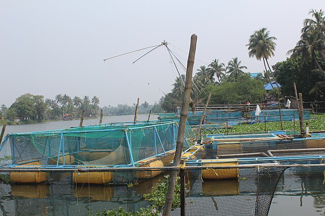 Fish farming